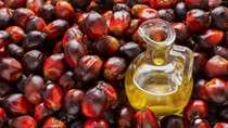 Bảng giá nông sản thế giới hôm nay 27/8/2025