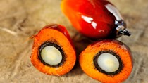 Bảng giá nông sản thế giới hôm nay 14/8/2025