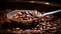 TT cà phê ngày 30/5: Giá robusta đạt mức cao nhất 1 tháng