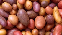 Bảng giá nông sản thế giới hôm nay 8/10/2025