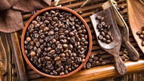 TT cà phê ngày 4/9: Giá trong nước đồng loạt đi xuống theo đà chạm đáy 5 tuần của Arabica