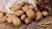 Diễn biến giá nông sản thế giới hôm nay 22/5/2026