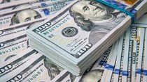 Tỷ giá USD hôm nay 25/5: Ổn định ở mức cao 6 tuần