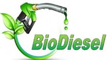 Indonesia cân nhắc các lựa chọn trợ cấp hỗ trợ chương trình diesel sinh học