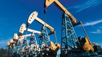 TT dầu TG ngày 8/1: Giá đi lên do số giàn khoan của Mỹ giảm