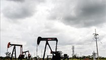 Baker Hughes: Số giàn khoan dầu của Mỹ giảm xuống thấp nhất kể từ tháng 2/2018