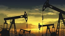 Nigeria hỗ trợ OPEC gia hạn việc cắt giảm theo các điều khoản phù hợp