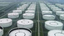 EIA: Dự trữ dầu thô, xăng của Mỹ giảm mạnh