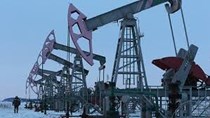 TT dầu TG ngày 26/11/2018: Giá tăng sau khi giảm gần 8% trong thứ sáu đen tối