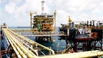Tập đoàn Dầu khí Quốc gia Trung Quốc dừng nhập dầu Venezuela