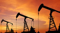 TT dầu TG ngày 26/1: Giá giảm do triển vọng nhu cầu ngắn hạn suy yếu