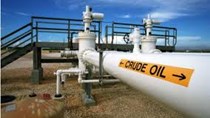 Các dự án dầu của Mỹ bắt đầu chùn bước do các nhà sản xuất hạn chế chi tiêu