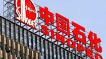 Công ty Sinopec của Trung Quốc cắt giảm vốn chi tiêu 2,5% trong năm 2020
