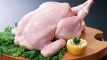 Xuất khẩu thịt gà của Thái Lan sang Trung Quốc tăng vọt do dịch sốt lợn Châu Phi 