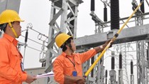 'Không thể thực hiện đồng nhất một giá điện tại Việt Nam'