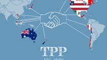 "Việt Nam hoàn toàn có thể thực hiện được các tiêu chuẩn của TPP"