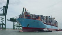 Vừa bán ra, JAMBF lại đăng ký mua vào 1 triệu cổ phiếu MHC
