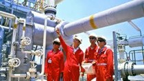 GAS ngày 3/8 chốt quyền lấy ý kiến cổ đông phát hành cổ phiếu ESOP giá 30.000 đồng/cp