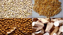 Giá thức ăn chăn nuôi thế giới dự báo tăng nhẹ, trong nước cao hơn khu vực 20%
