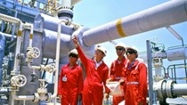 GAS xin ý kiến cổ đông phát hành gần 19 triệu cổ phần ESOP, giá 20.000 đồng/cp