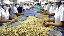 PAN Food đăng ký mua thêm 5% vốn LAF, nâng sở hữu lên gần 61%