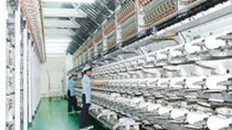 Hơn 42 triệu cổ phiếu Sợi Thế Kỷ được chấp thuận niêm yết HOSE