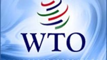 8 năm gia nhập WTO: Khoảng cách gần lại hay xa hơn?