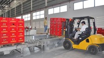 23/10 đấu giá 1,7 triệu cổ phần Bia Sài Gòn - Quảng Ngãi