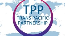 Chuyên gia: Nếu khối ngoại tiếp tục bán ròng, hiệu ứng TPP thấp hơn hẳn WTO