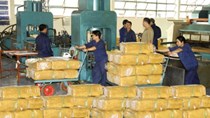 Tuần 13/7-17/7, giá cao su trong nước giảm 6% so với trung bình tháng 6