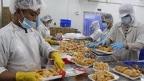Gà Việt sang Nhật vướng mỗi thú y