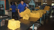 7 tháng đầu năm 2015: Xuất khẩu cao su tăng 13,6%