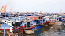 Xây dựng Trung tâm nghề cá lớn đạt 30.000 tấn/năm