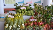 Thanh long, chôm chôm giảm giá mạnh, giá rau quả tháng 7 bình ổn