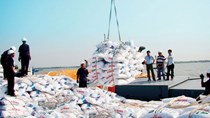 Chi hơn 800 triệu USD nhập khẩu phân bón 7 tháng đầu năm, tăng 18% cùng kỳ