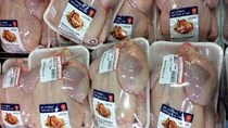 Ngành chăn nuôi Hoa Kỳ phủ nhận việc bán phá giá gà Mỹ tại Việt Nam