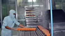 Xuất khẩu surimi sang Nga và Thái Lan tăng mạnh 