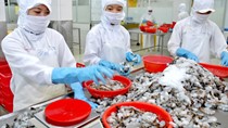 VASEP cáo buộc Mỹ thiếu minh bạch khi đưa tôm vào danh sách "đen"