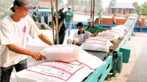Xuất khẩu gạo 9 tháng giảm cả về giá và lượng