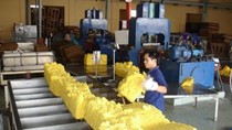Ngành xuất khẩu cao su Việt Nam gặp nhiều khó khăn với thị trường Trung Quốc 