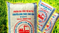 Cổ phiếu VAF ngày 23/6 giao dịch phiên đầu tiên trên HSX