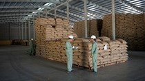 VFG phát hành 4,4 triệu cổ phiếu tăng vốn