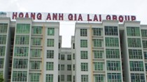 HAG xin ý kiến cổ đông điều chỉnh các điều khoản của trái phiếu chuyển đổi