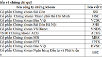 SSI dẫn đầu thị phần môi giới quý II/2015