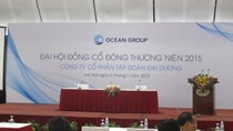 ĐHCĐ OGC lần 2 bất thành: Chuyển nhượng Oceanmart, mảng bán lẻ vẫn lỗ 970 tỷ đồng