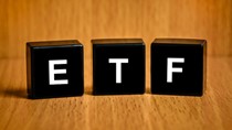 Tải sản VNM ETF giảm 39 triệu USD tuần qua, bị rút tiếp 500.000 chứng chỉ quỹ