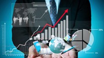 VN-Index tháng 8 giảm 9,06%, vốn hóa mất 97.500 tỷ đồng sau nhiều biến động