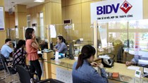 BIDV phát hành xong 270,6 triệu cổ phiếu, vốn điều lệ lên 34.187 tỷ đồng