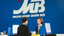 MB định giá 491 tỷ đồng khu đất 49.000m2 Nam An Khánh
