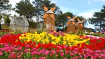 Sài Gòn tiêu thụ 1 tỷ cành hoa Đà Lạt mỗi năm